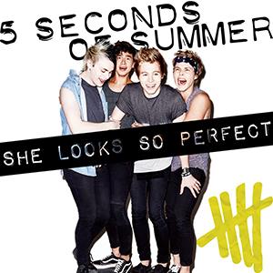 5 Seconds of Summer She Looks So Perfect profile picture
