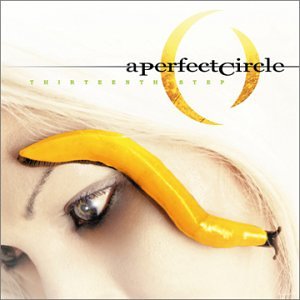 A Perfect Circle The Outsider pictures A Perfect Circle The Outsider pictures