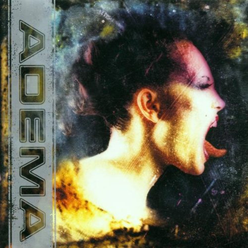 Adema Giving In pictures Adema Giving In profile picture