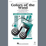 Download or print Mac Huff Colors Of The Wind Sheet Music Printable PDF 10-page score for Pop / arranged SSA SKU: 180469