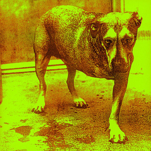 Alice In Chains Brush Away profile picture