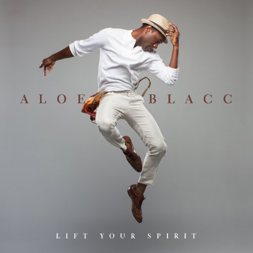 Aloe Blacc Owe It All profile picture