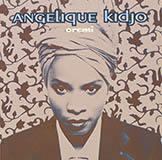 Download or print Angelique Kidjo Never Know Sheet Music Printable PDF 6-page score for Hip-Hop / arranged Piano, Vocal & Guitar Chords (Right-Hand Melody) SKU: 1752720