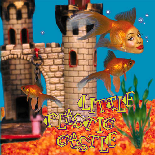 Ani DiFranco Little Plastic Castle profile picture