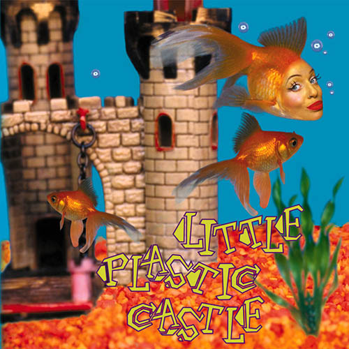 Ani DiFranco Little Plastic Castle pictures Ani DiFranco Little Plastic Castle profile picture