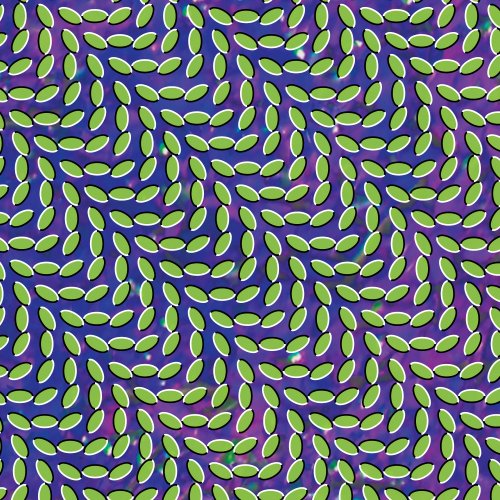 Animal Collective My Girls profile picture