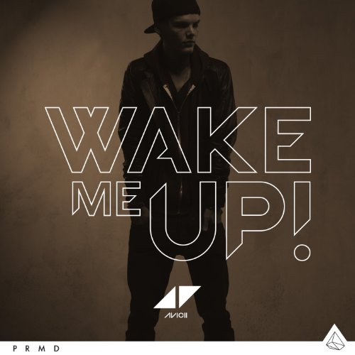 Avicii Wake Me Up profile picture
