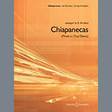 Download or print B. Dardess Chiapanecas (Mexican Clap Dance) - Conductor Score (Full Score) Sheet Music Printable PDF 7-page score for Folk / arranged Orchestra SKU: 271864.