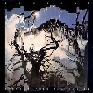 Bauhaus She's In Parties pictures Bauhaus She's In Parties profile picture