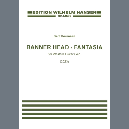 Bent Sørensen Banner Head - Fantasia profile picture