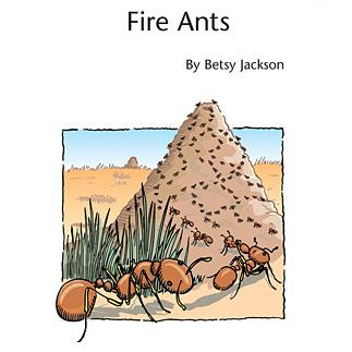Betsy Jackson Fire Ants pictures Betsy Jackson Fire Ants profile picture