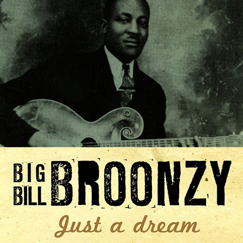 Big Bill Broonzy Long Tall Mama profile picture