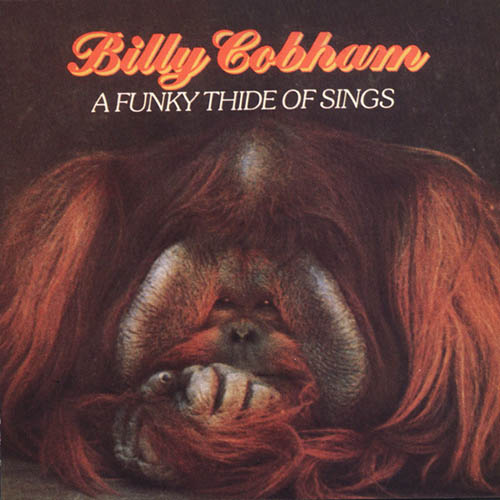 Billy Cobham Light At The End Of The Tunnel profile picture