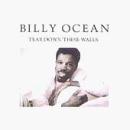 Billy Ocean The Colour Of Love profile picture