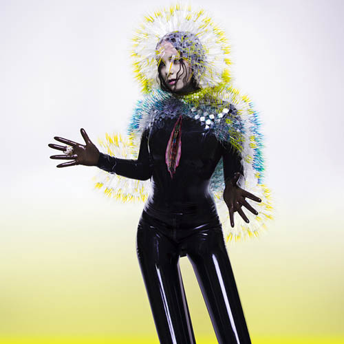 Bjork Stonemilker profile picture