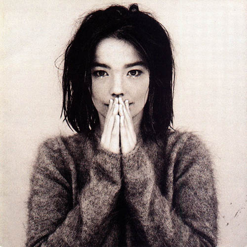 Bjork The Anchor Song profile picture
