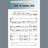 Download or print Brian Tate Drill, Ye Tarriers, Drill Sheet Music Printable PDF 8-page score for Concert / arranged TTBB Choir SKU: 451193