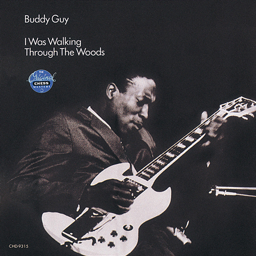 Buddy Guy First Time I Met The Blues profile picture