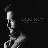 Download or print Calum Scott You Are The Reason Sheet Music Printable PDF 4-page score for Pop / arranged Piano Solo SKU: 415654