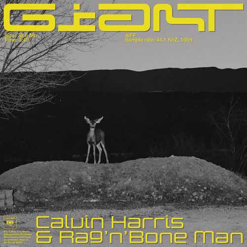 Calvin Harris & Rag 'n' Bone Man Giant profile picture