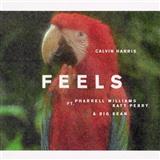 Download or print Calvin Harris Feels (feat. Pharrell Williams) Sheet Music Printable PDF 9-page score for Pop / arranged Piano, Vocal & Guitar (Right-Hand Melody) SKU: 125389