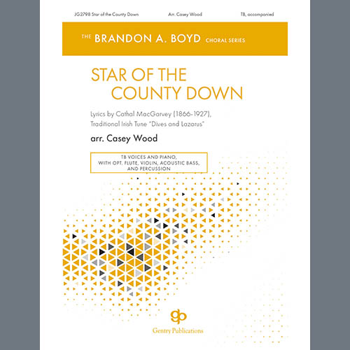 Casey Wood Star of the County Down profile picture