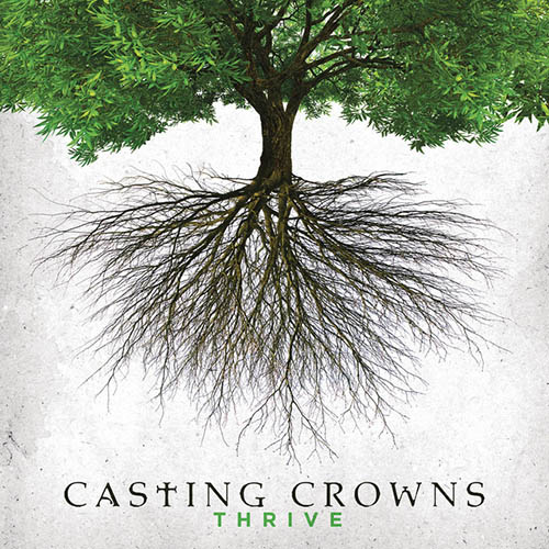 Casting Crowns Dream For You profile picture