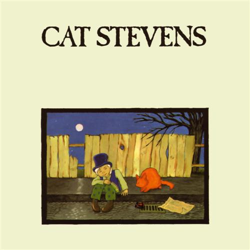 Cat Stevens Moonshadow profile picture