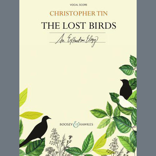 Christopher Tin The Lost Birds profile picture