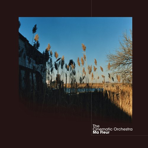 Cinematic Orchestra To Build A Home profile picture