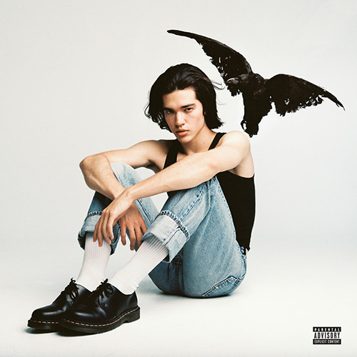 Conan Gray The Cut That Always Bleeds profile picture