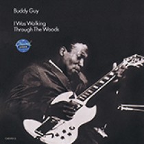 Buddy Guy First Time I Met The Blues 1786308