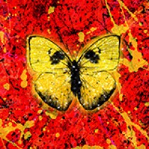 Ed Sheeran Shivers 1804960