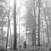 Taylor Swift exile (feat. Bon Iver) 1118617