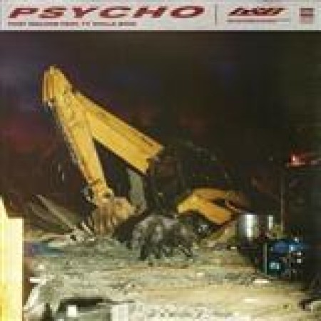 Post Malone Psycho (feat. Ty Dolla $ign) 125643
