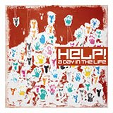 Download or print Damien Rice Cross-Eyed Bear Sheet Music Printable PDF 5-page score for Folk / arranged Piano, Vocal & Guitar (Right-Hand Melody) SKU: 47363