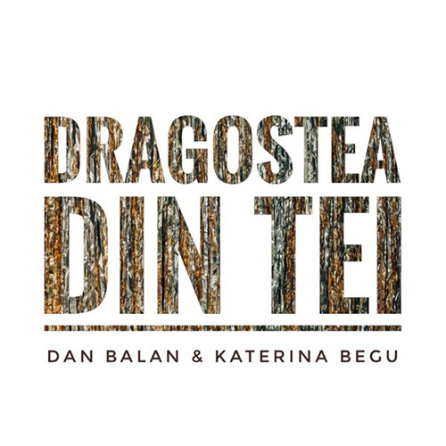 Dan Balan Dragostea Din Tei profile picture