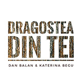 Download or print Dan Balan Dragostea Din Tei Sheet Music Printable PDF 6-page score for Pop / arranged Piano & Vocal SKU: 45653
