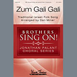 Download or print Dan Miner Zum Gali Gali Sheet Music Printable PDF 9-page score for Concert / arranged TBB Choir SKU: 410399
