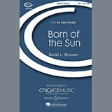 Download or print David Brunner Born Of The Sun Sheet Music Printable PDF 14-page score for Concert / arranged TBB SKU: 69708