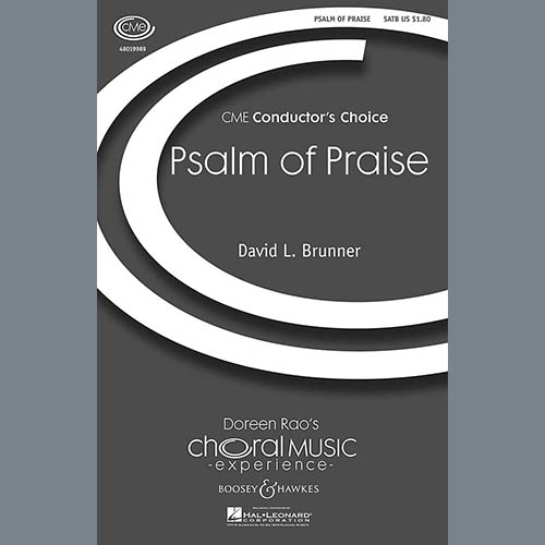 David Brunner Psalm Of Praise profile picture