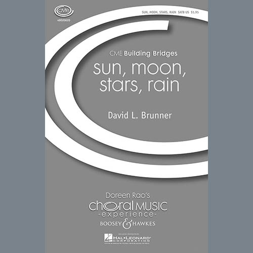 David Brunner Sun, Moon, Stars, Rain profile picture