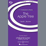 Download or print David Brunner The Apple Tree Sheet Music Printable PDF 9-page score for Festival / arranged SATB SKU: 180138