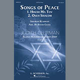 Download or print David Chase Songs Of Peace Sheet Music Printable PDF 21-page score for Sacred / arranged SATB SKU: 181516