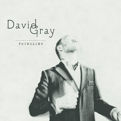 David Gray Only The Wine profile picture