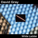 Download or print David Gray White Ladder Sheet Music Printable PDF 5-page score for Pop / arranged Piano, Vocal & Guitar SKU: 14608