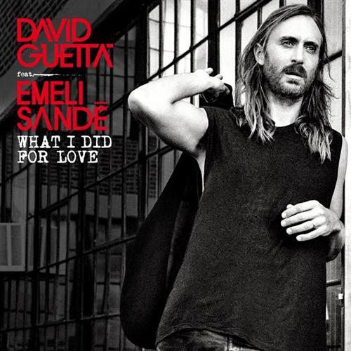 David Guetta What I Did For Love (featuring Emeli Sande) profile picture
