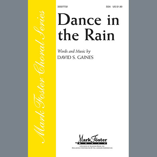 David S. Gaines Dance In The Rain profile picture