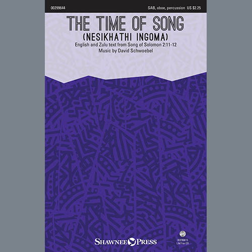 David Schwoebel The Time Of Song (Nesikhathi Ingoma) profile picture