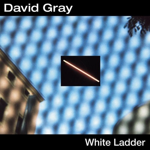 David Gray This Year's Love profile picture